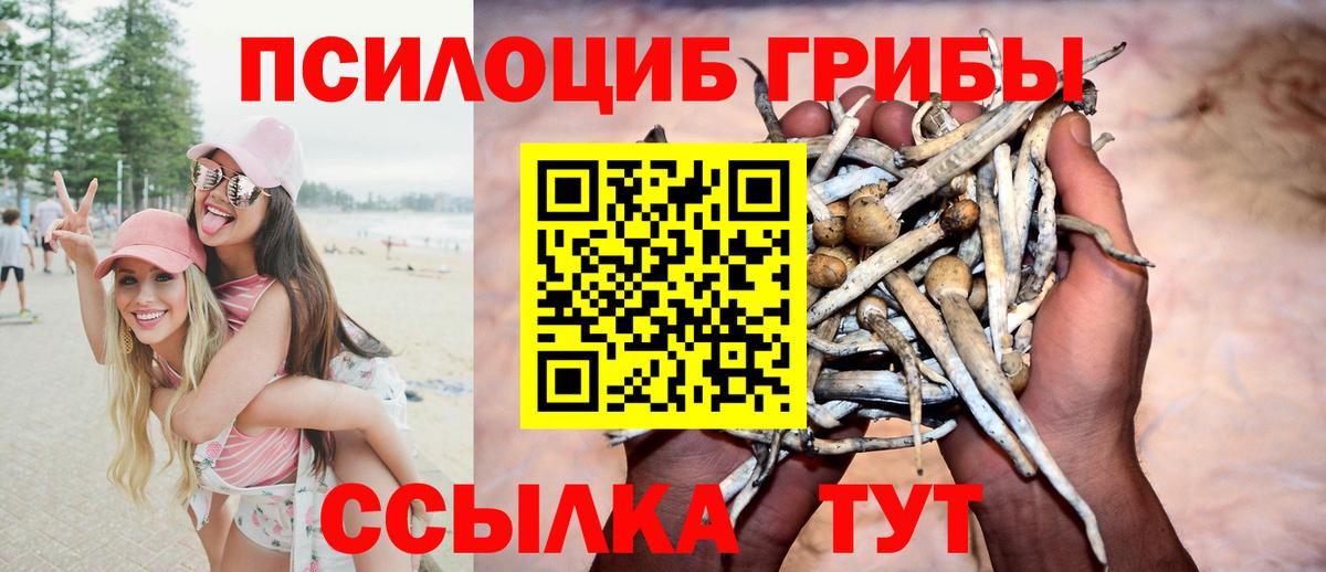 Балашов  Галлюциногенные грибы GOLDEN TEACHER  Вход с VPN 