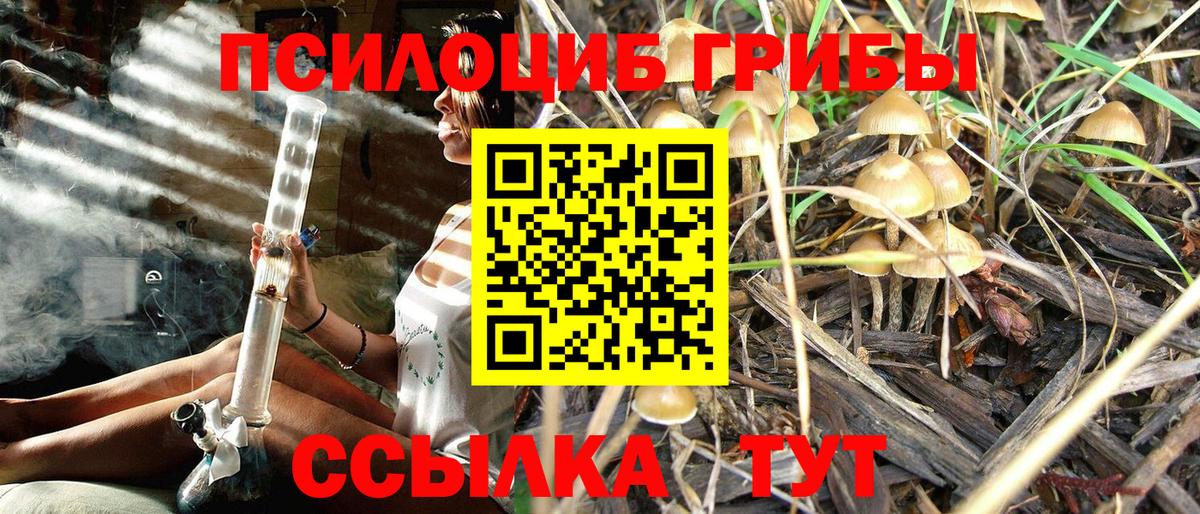 Галлюциногенные грибы мицелий Балашов